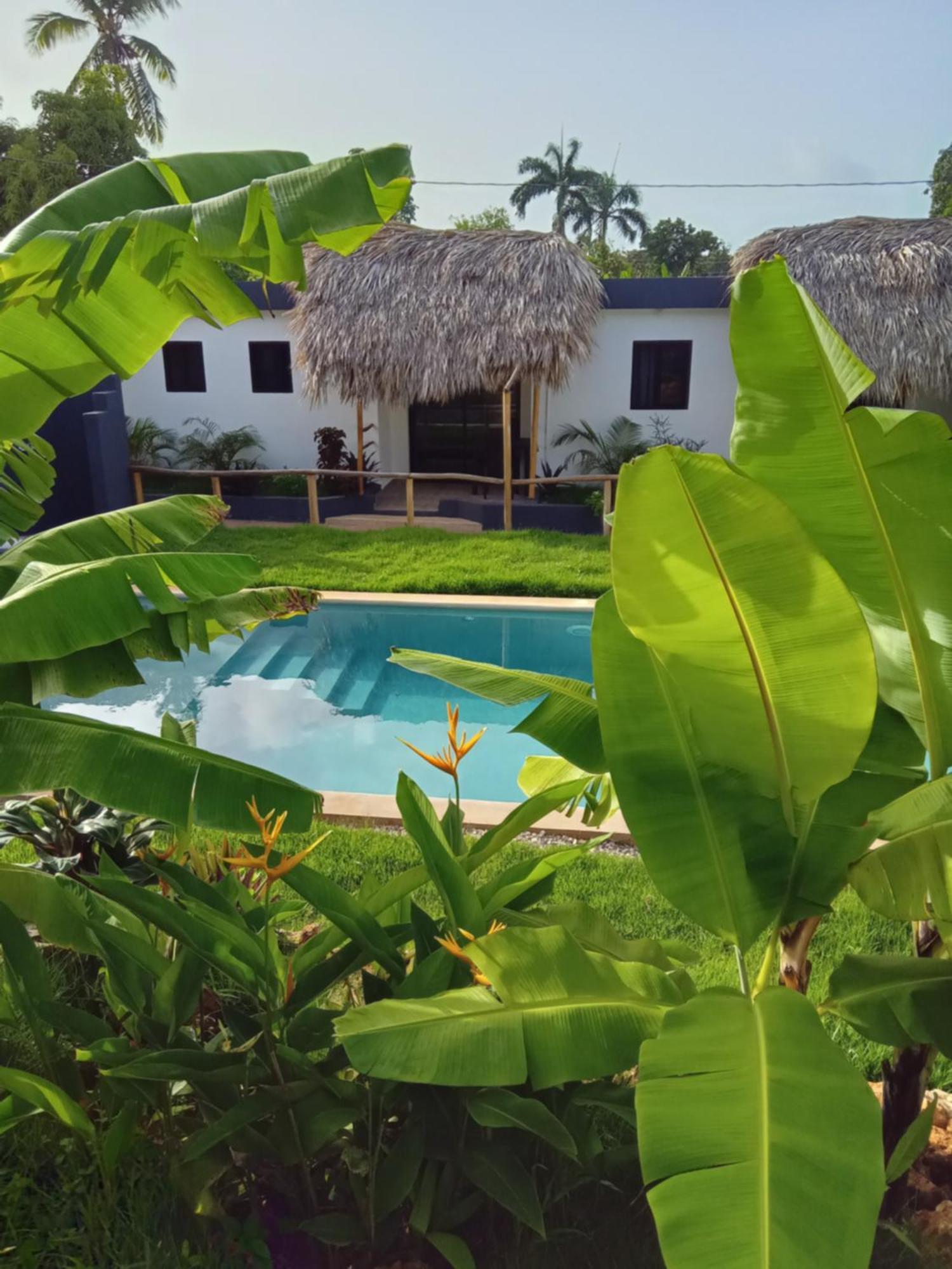 Bungalows Colibri Las Galeras Exterior photo