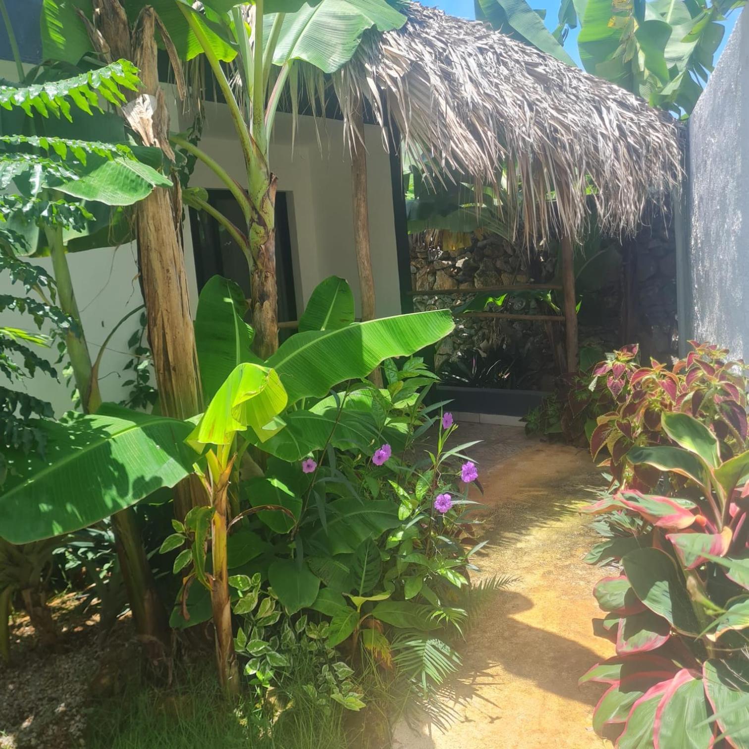 Bungalows Colibri Las Galeras Exterior photo