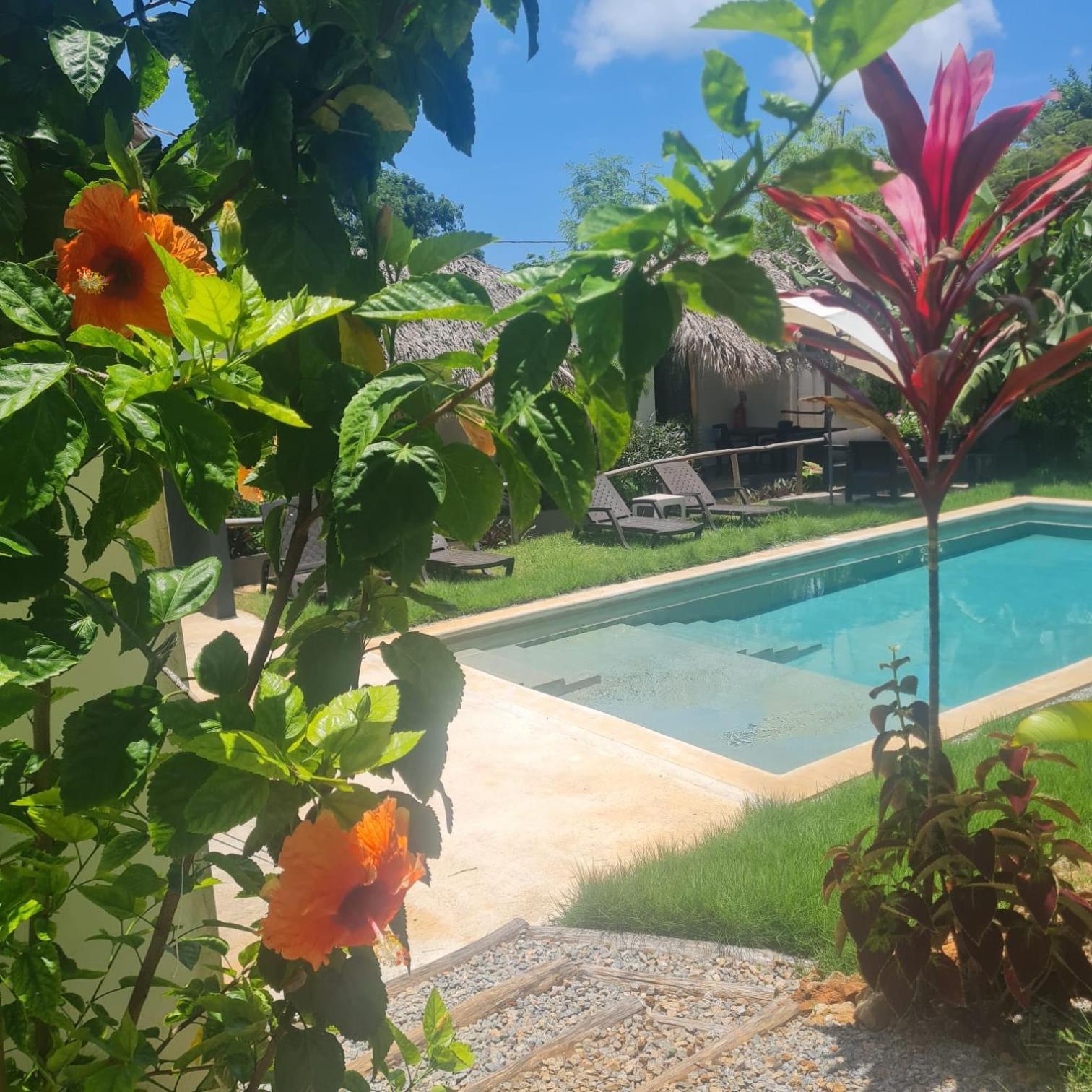 Bungalows Colibri Las Galeras Exterior photo