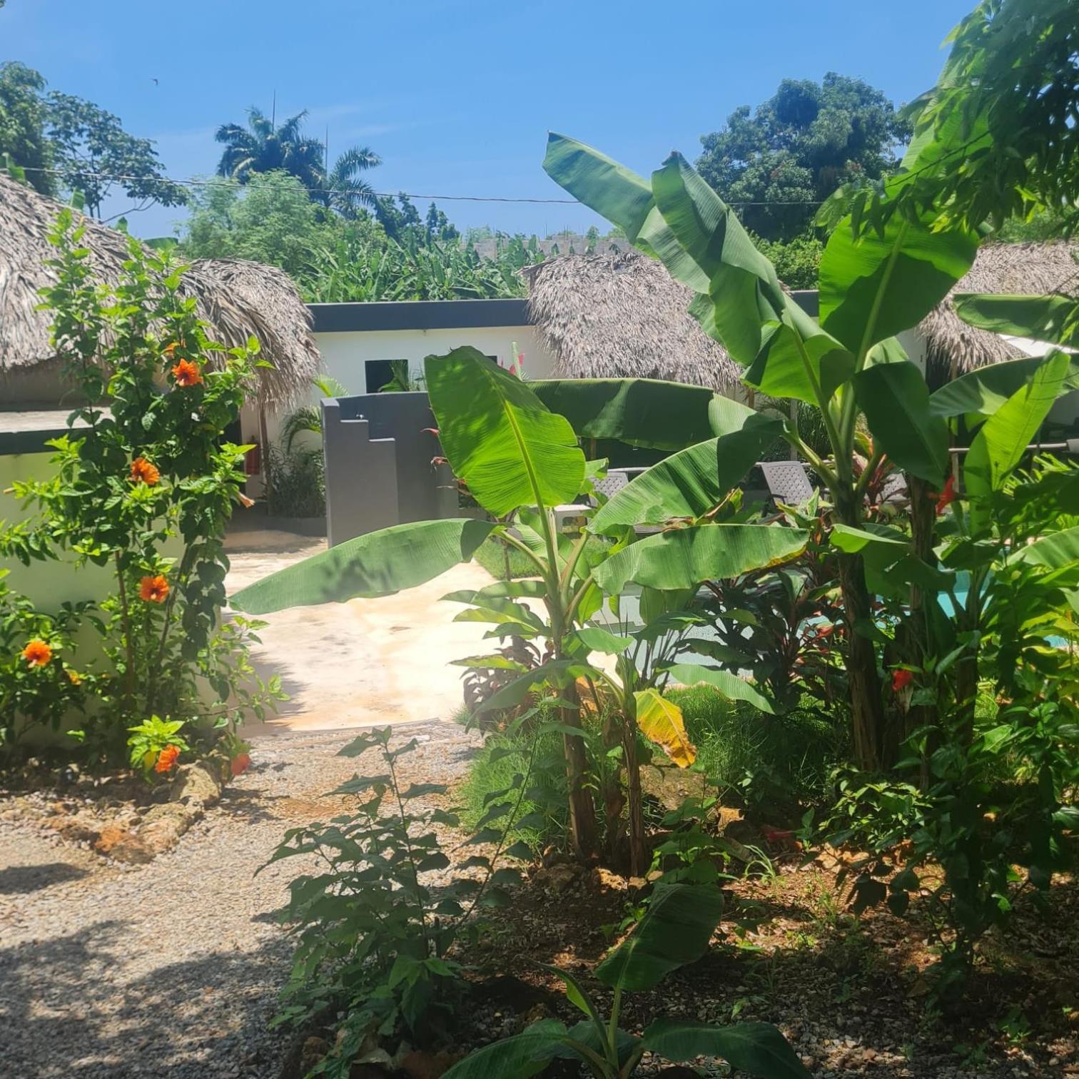 Bungalows Colibri Las Galeras Exterior photo