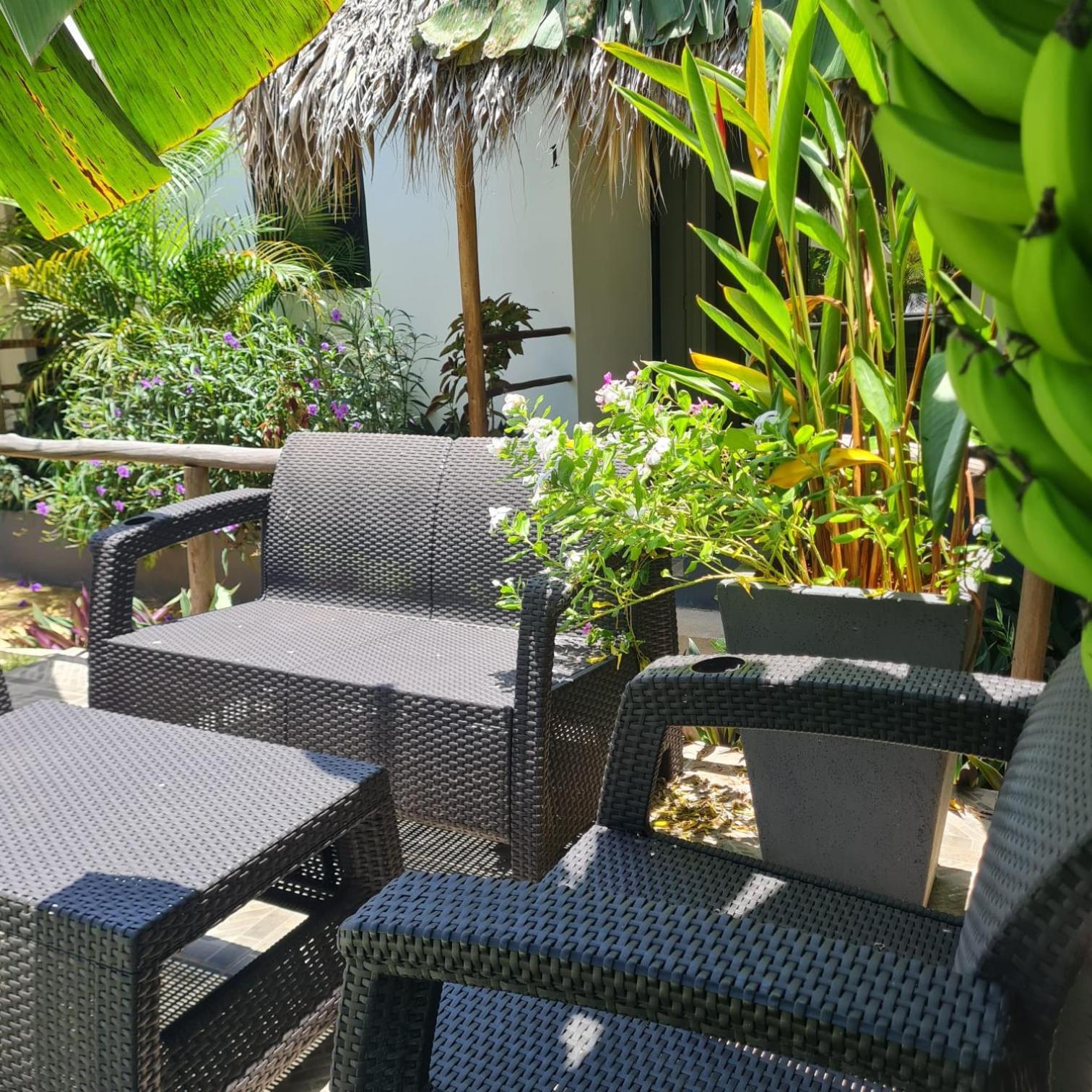 Bungalows Colibri Las Galeras Exterior photo