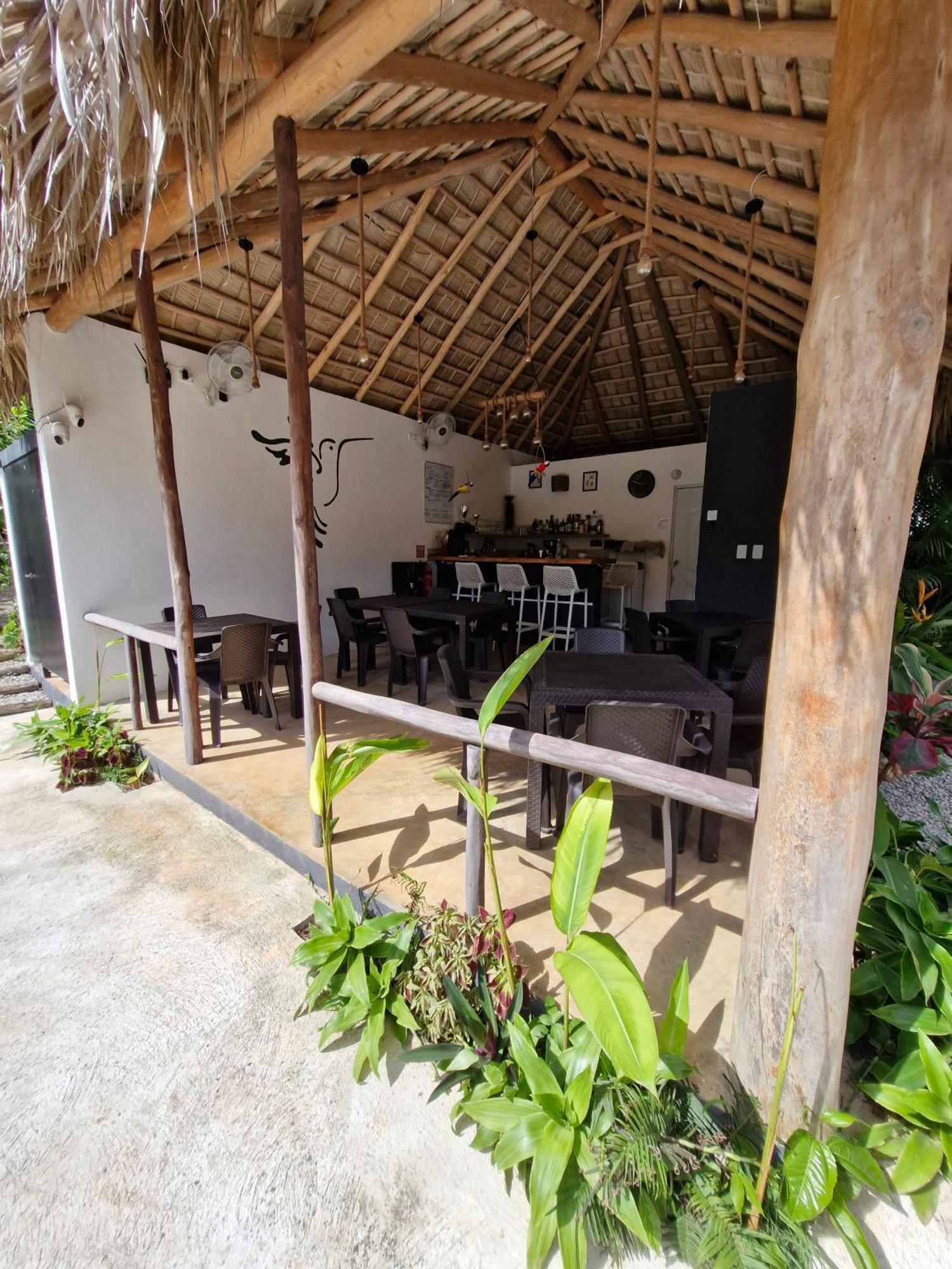 Bungalows Colibri Las Galeras Exterior photo