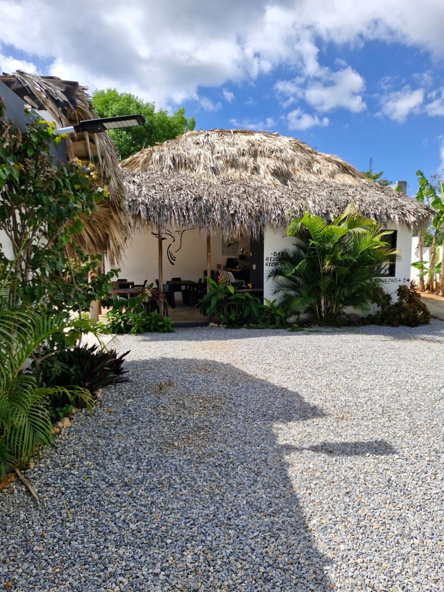 Bungalows Colibri Las Galeras Exterior photo