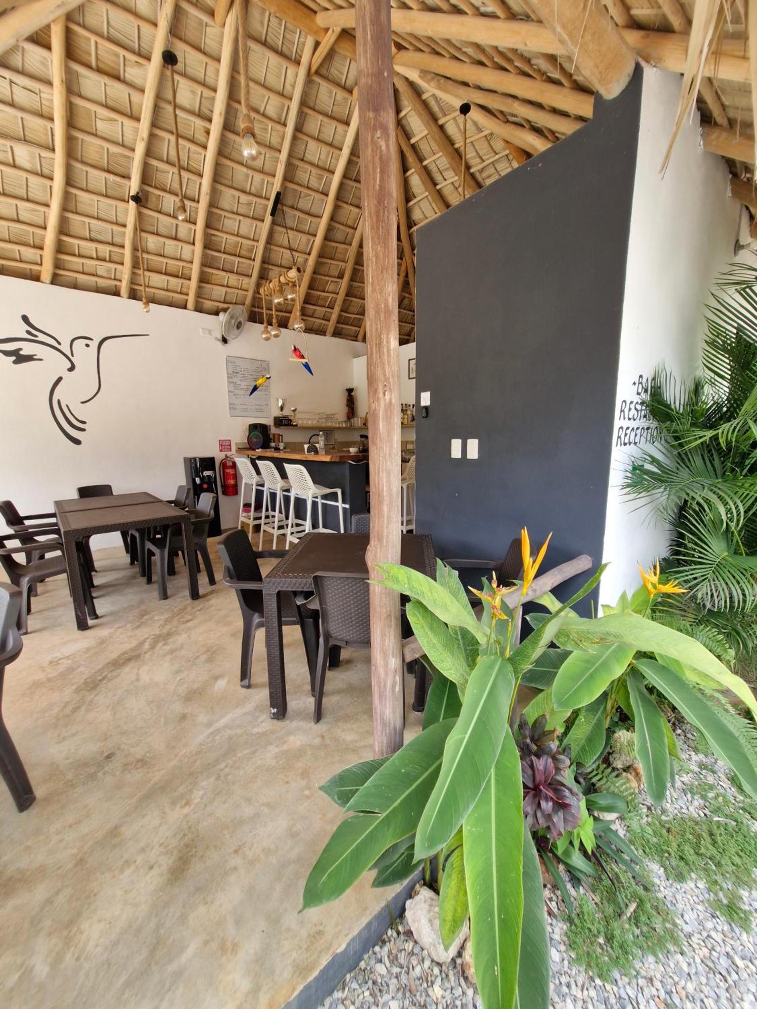 Bungalows Colibri Las Galeras Exterior photo